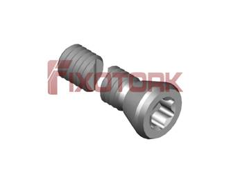 PARAFUSO TORX 40L29-G6720