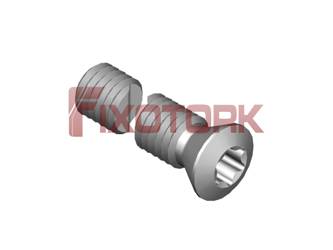 PARAFUSO TORX 50L19-A7220