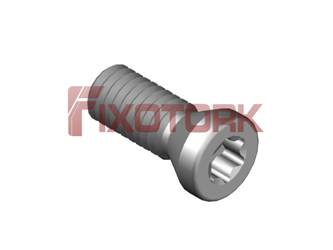 PARAFUSO TORX 30L80-A4509