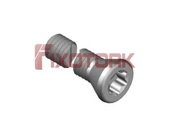PARAFUSO TORX 1/8L25-W5515