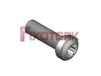 PARAFUSO TORX 50L19-N8525