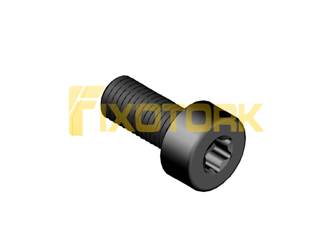 PARAFUSO TORX 1/8L95-D5510
