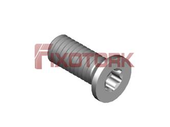 PARAFUSO TORX 40L10-W6515