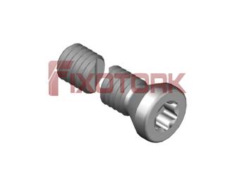 PARAFUSO TORX 30L25-A4509