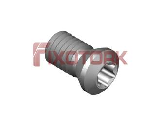 PARAFUSO TORX 50L10-B6920