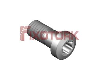 PARAFUSO TORX 50L14-Z8025