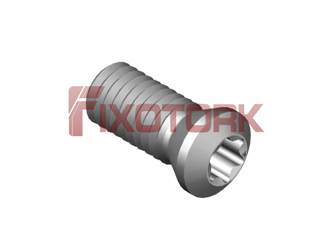 PARAFUSO TORX 50L12-B6920