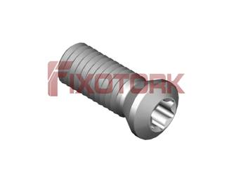 PARAFUSO TORX 50L14-B6920