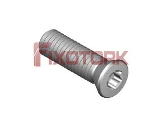 PARAFUSO TORX 50L17-B7220