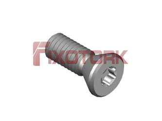 PARAFUSO TORX 30L75-W5008