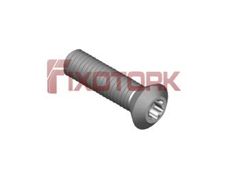 PARAFUSO TORX 50L20-W8520