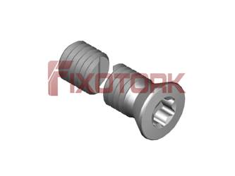 PARAFUSO TORX 50L21-W7220
