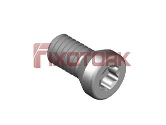 PARAFUSO TORX 30L66-A4509