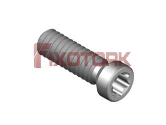 PARAFUSO TORX 22L80-A3007