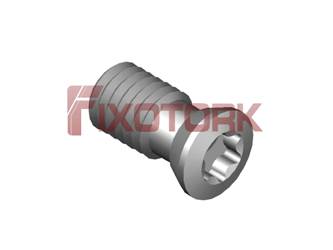 PARAFUSO TORX 50L10-H6620