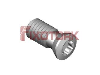 PARAFUSO TORX 50L11-H6620
