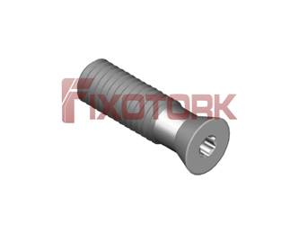 PARAFUSO TORX 50L17-B6609E