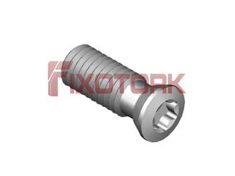 PARAFUSO TORX 50L14-H6620