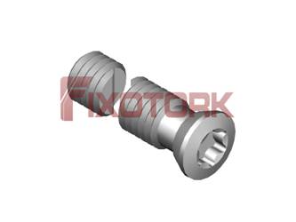 PARAFUSO TORX 50L17-H6620
