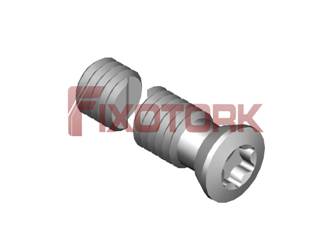 PARAFUSO TORX 50L28-H6620