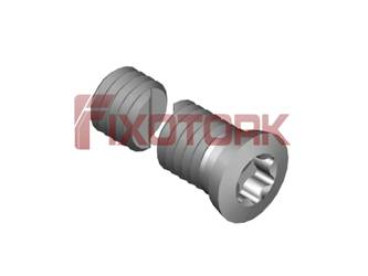 PARAFUSO TORX 50L28-H6820