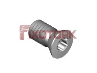 PARAFUSO TORX 50L95-H7320