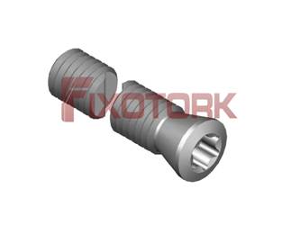 PARAFUSO TORX 50L22-B6320