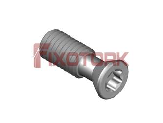 PARAFUSO TORX 50L14-N6620