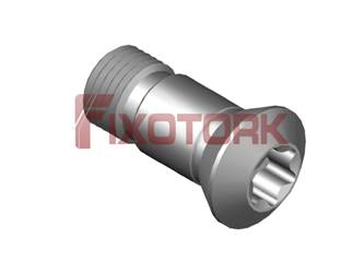 PARAFUSO TORX 50L12-AM7520