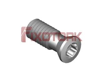 PARAFUSO TORX 50L13-B6620