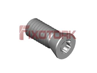 PARAFUSO TORX 50L12-W6920