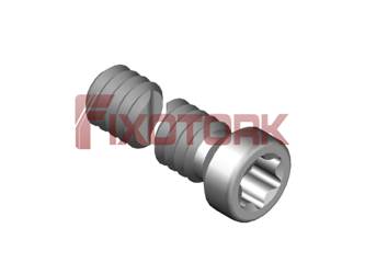 PARAFUSO TORX 22L12-A3007