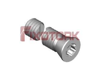 PARAFUSO TORX 50L17-W7220