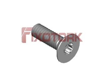 PARAFUSO TORX 30L80-W6009