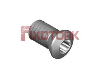PARAFUSO TORX 60L12-B8525