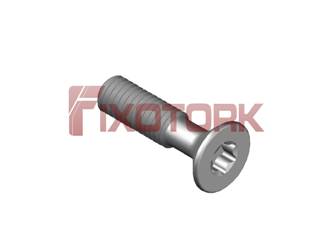 PARAFUSO TORX 30L10-W5710