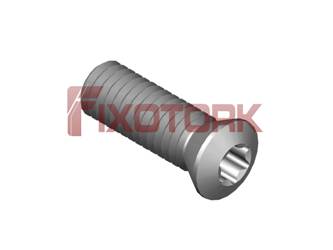 PARAFUSO TORX 60L18-B8525