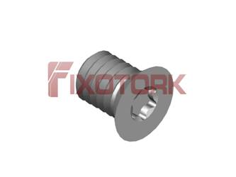PARAFUSO TORX 40L52-W6010