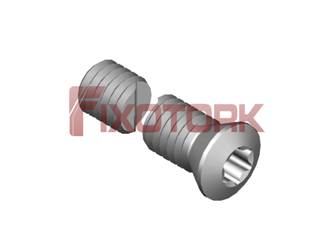 PARAFUSO TORX 60L25-B8525
