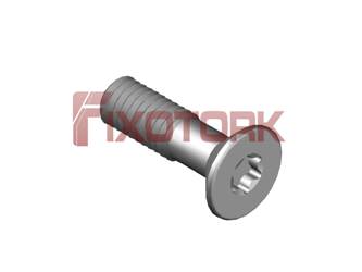 PARAFUSO TORX 30L10-W5709