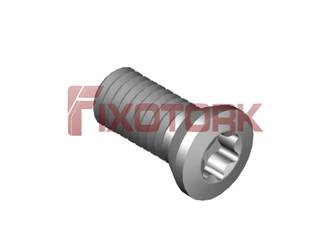 PARAFUSO TORX 45L11-A7020