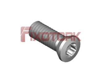 PARAFUSO TORX 45L13-A7020