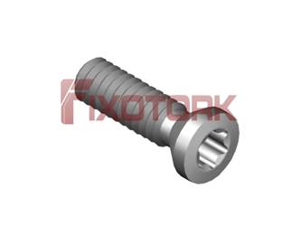 PARAFUSO TORX 22L80-A3507