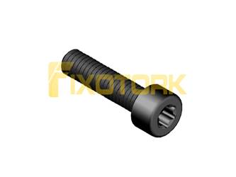 PARAFUSO TORX 40L20-D6920