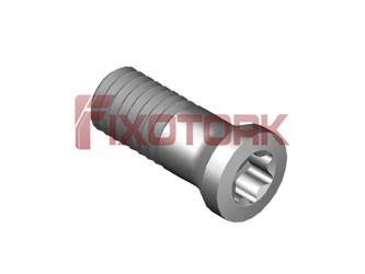 PARAFUSO TORX 30L85-N4209