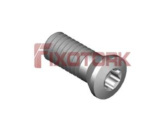 PARAFUSO TORX 60L15-N8525