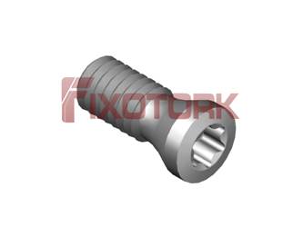 PARAFUSO TORX 25L67-A3407