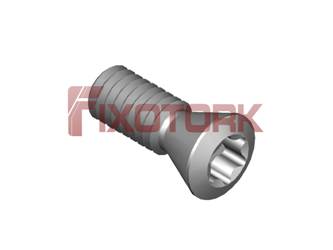 PARAFUSO TORX 25L68-W3908