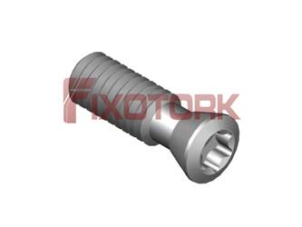 PARAFUSO TORX 40L13-K5215