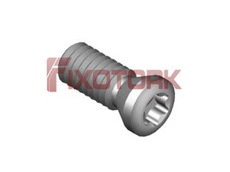 PARAFUSO TORX 25L67-B3407